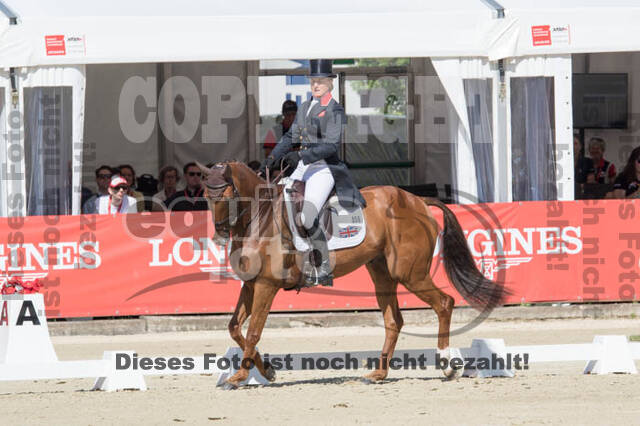 FEI European Championship Eventing 2017