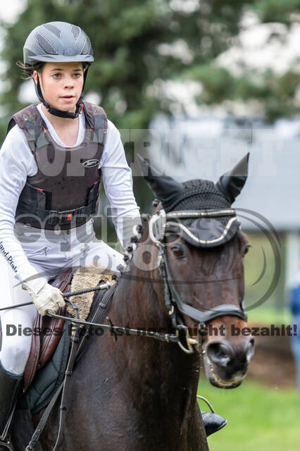 Goldene Schärpe 2020 - Pferde