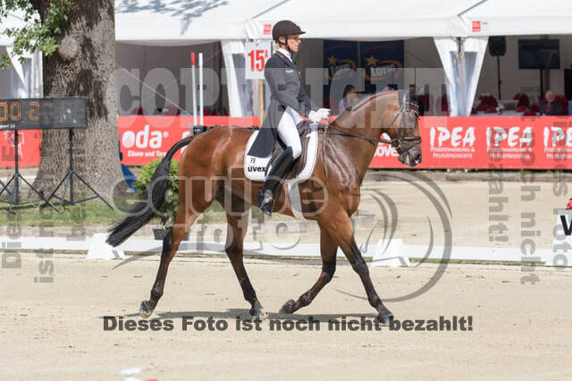 FEI European Championship Eventing 2017