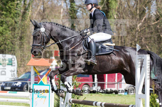 Frühjahrsvielseitigkeit RV Seydlitz Kamp