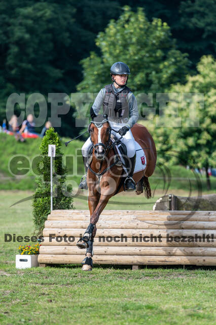 Goldene Schärpe 2021 - Ponys