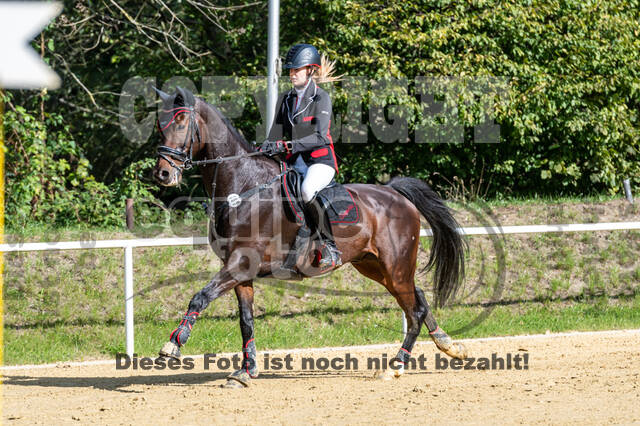 RFV Dinslaken-Hiesfeld (Herbstturnier)