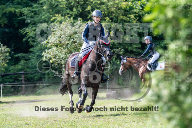 Goldene Schärpe 2021 - Ponys