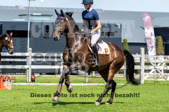 Kronenberg - De Peelbergen (August 2020)