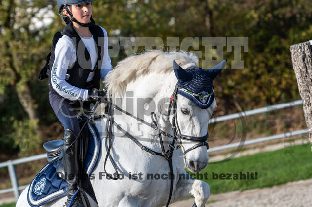 IGV Lehrgang der Sieger der Cups mit Frank Ostholt