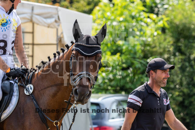 Late-Entry Vielseitigkeit Hamminkeln/Wesel (01.+02.08.2020)