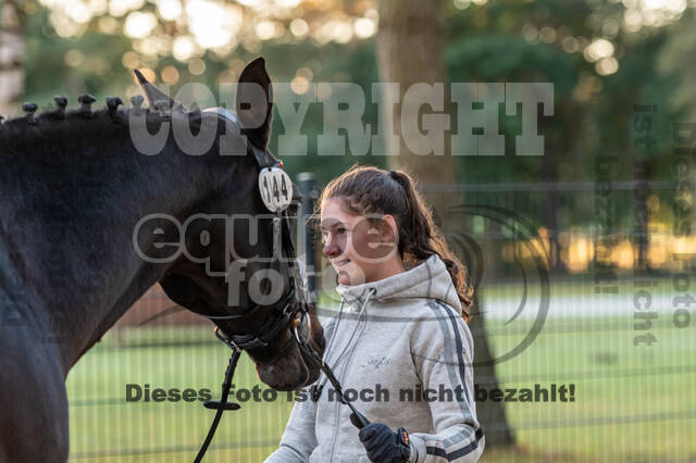 Deutsche Meisterschaft Vielseitigkeit (Luhmühlen)