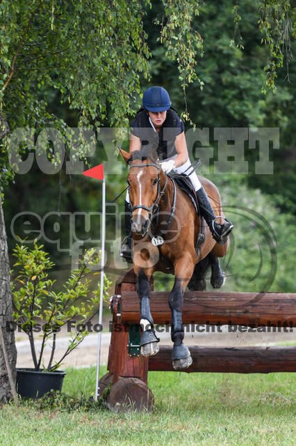 Late-Entry-Vielseitigkeit Langenfeld (11.+13./14.06.2020)