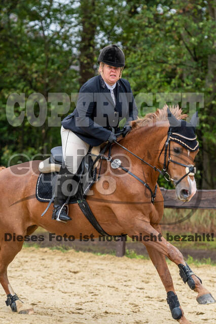 Vielseitigkeit RSV Wesel Obrighoven (26.+27.09.2020)