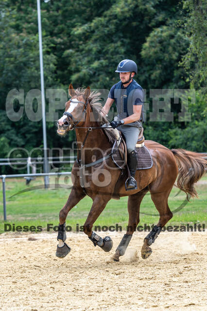 Hunter Geländetraining 10.07.2021 (Sonsbeck)