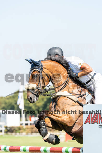Kronenberg - De Peelbergen (August 2020)