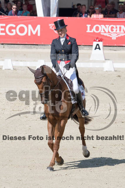 FEI European Championship Eventing 2017