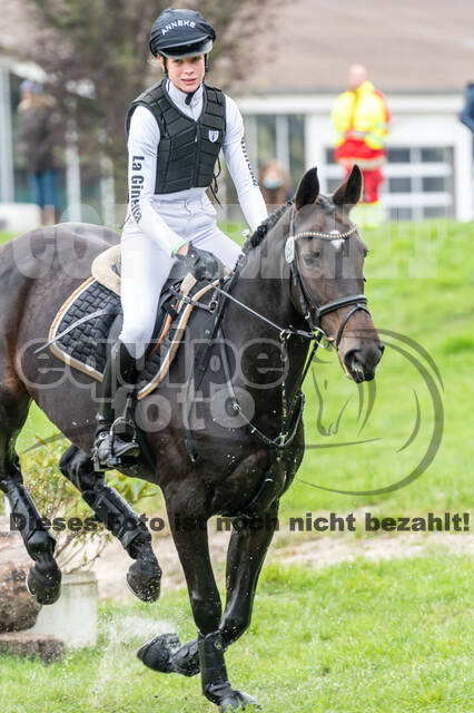 Goldene Schärpe 2020 - Pferde