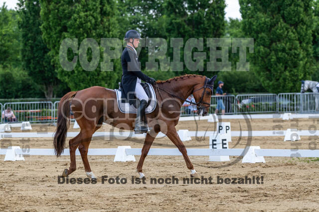 Westerstede Horse Trials 2021