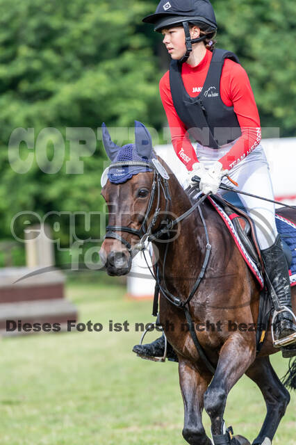 Goldene Schärpe 2021 - Ponys