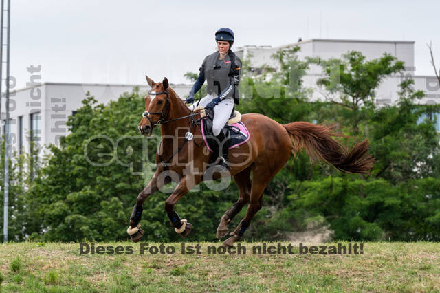 Late-Entry-Vielseitigkeit Langenfeld (11.+13./14.06.2020)
