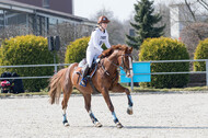 Eventing Langenfeld 2018