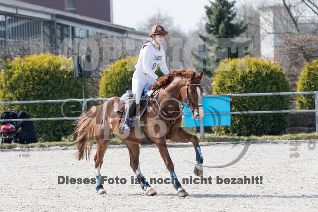 Eventing Langenfeld 2018