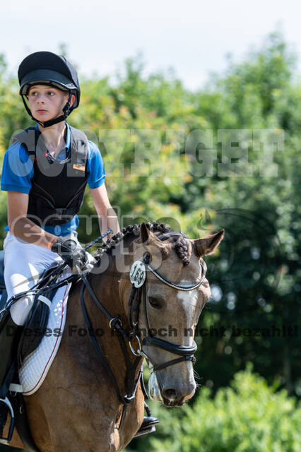 Goldene Schärpe 2021 - Ponys