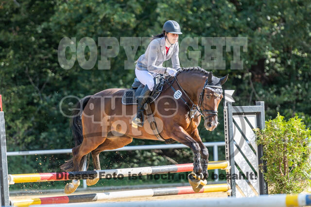 RFV Dinslaken-Hiesfeld (Herbstturnier)