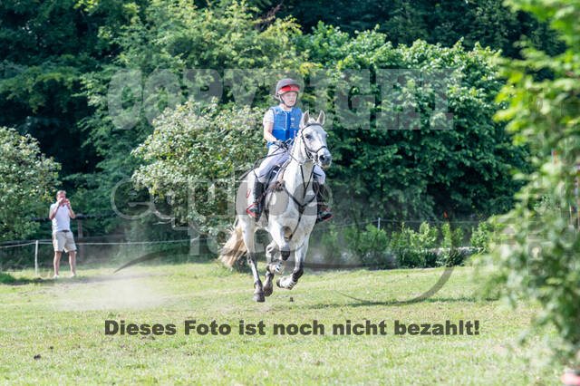 Goldene Schärpe 2021 - Ponys