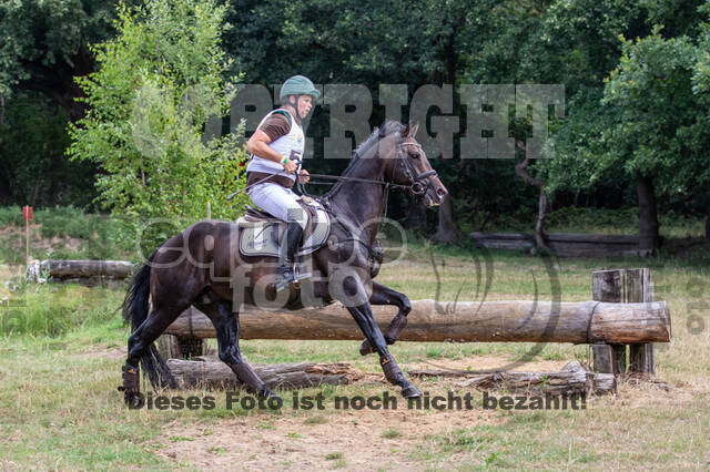 Late-Entry Vielseitigkeit Hamminkeln/Wesel (01.+02.08.2020)