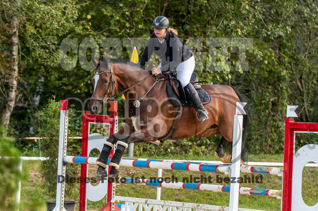 RFV Dinslaken-Hiesfeld (Herbstturnier)