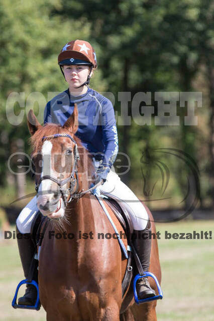 Vielseitigkeitsturnier RSV St. Hubertus Wesel Obrighoven