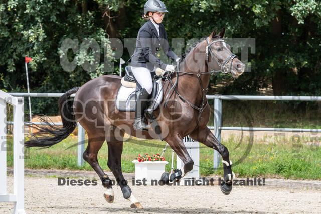 Late-Entry-Vielseitigkeit Langenfeld (06.+07.07.2020)