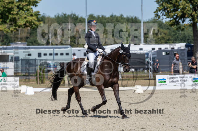 Kronenberg - De Peelbergen (August 2020)