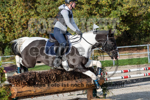 IGV Lehrgang der Sieger der Cups mit Frank Ostholt