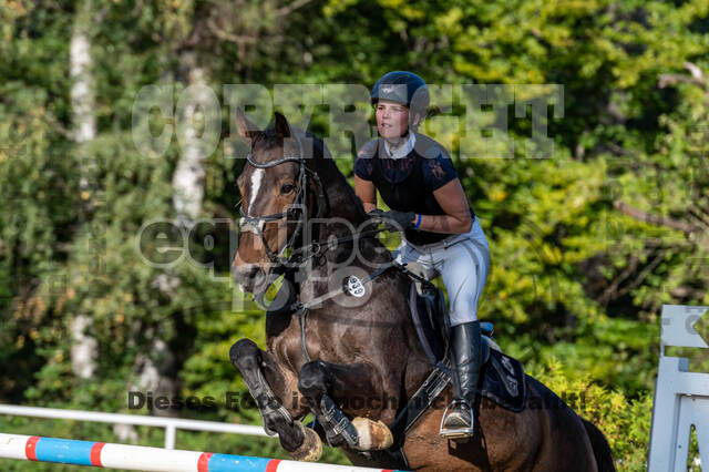 RFV Dinslaken-Hiesfeld (Herbstturnier)