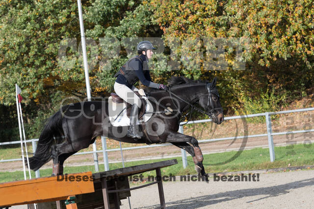 IGV Lehrgang der Sieger der Cups mit Frank Ostholt