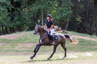 Late-Entry Vielseitigkeit Hamminkeln/Wesel (01.+02.08.2020)