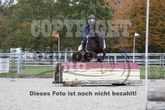 IGV Lehrgang der Sieger der Cups mit Frank Ostholt