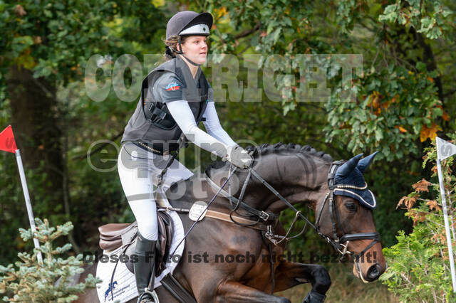 Goldene Schärpe 2020 - Pferde