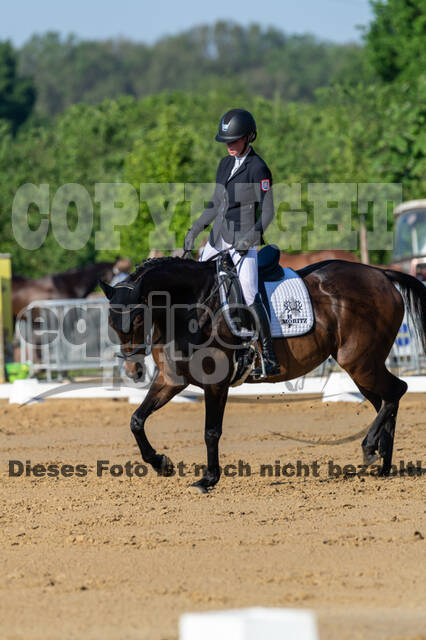 Westerstede Horse Trials 2021
