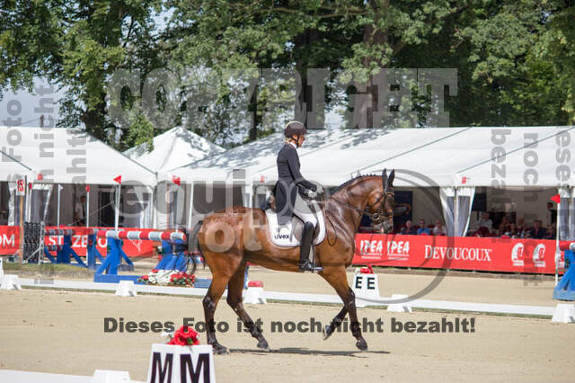 FEI European Championship Eventing 2017