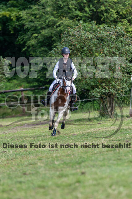 Goldene Schärpe 2021 - Ponys