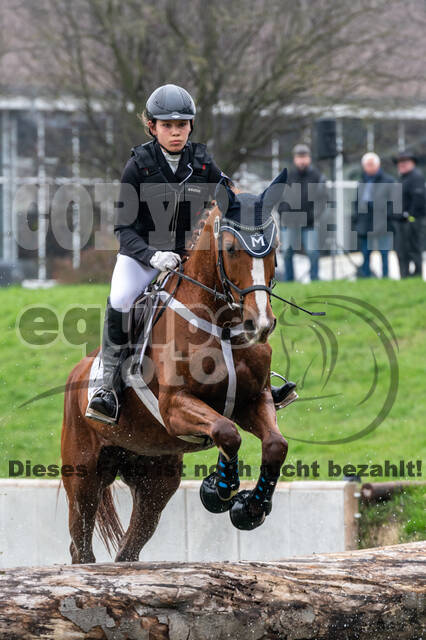 Goldene Schärpe 2020 - Pferde