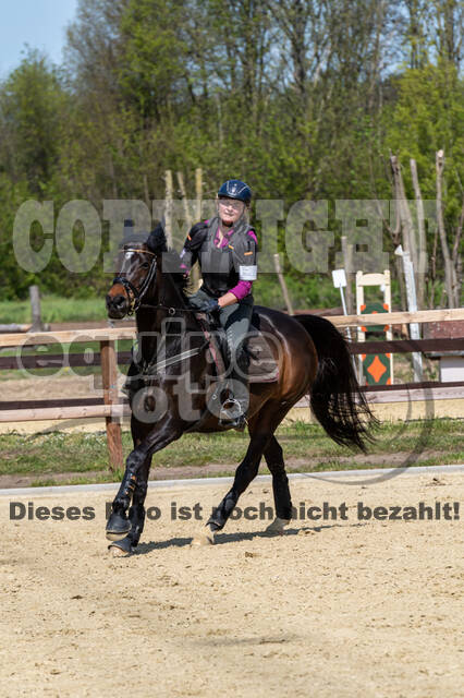 Geländetraining ZRFV Hamminkeln (09.05.2021)