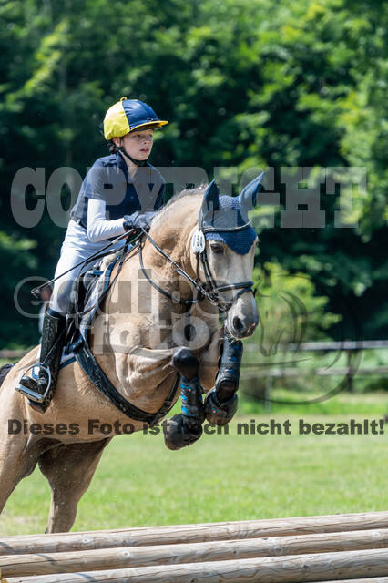 Goldene Schärpe 2021 - Ponys