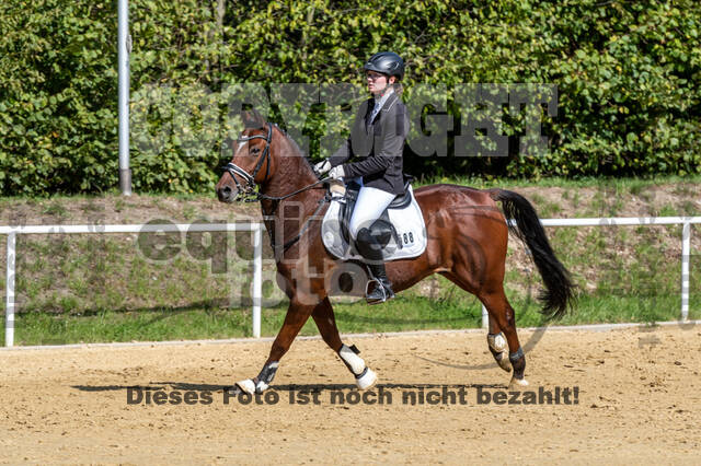 RFV Dinslaken-Hiesfeld (Herbstturnier)