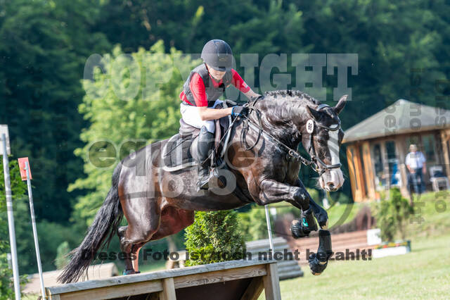 Goldene Schärpe 2021 - Ponys