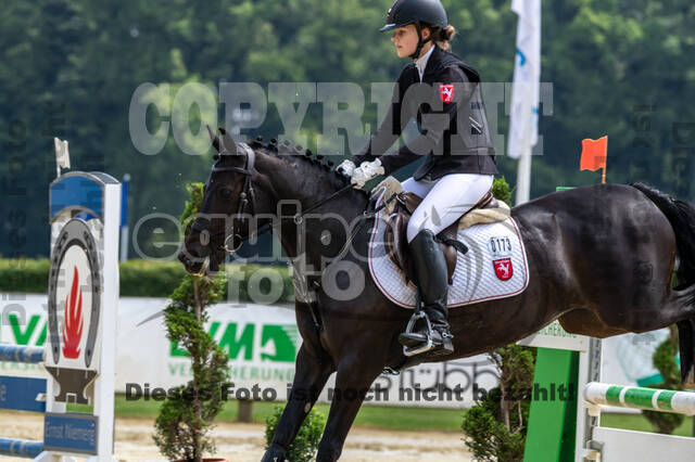 Goldene Schärpe 2021 - Ponys