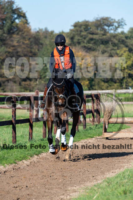 Vielseitigkeitslehrgang mit Jürg Kurbel (9.+10.11.2019)