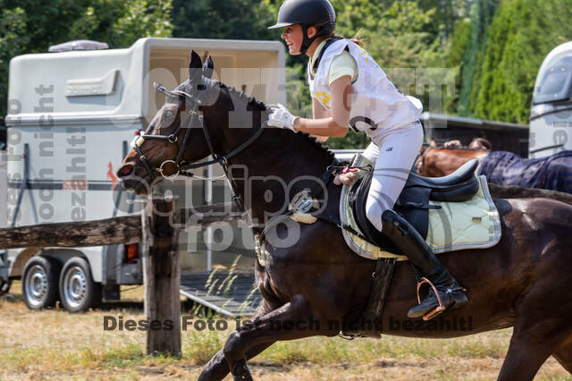 Late-Entry Vielseitigkeit Hamminkeln/Wesel (01.+02.08.2020)