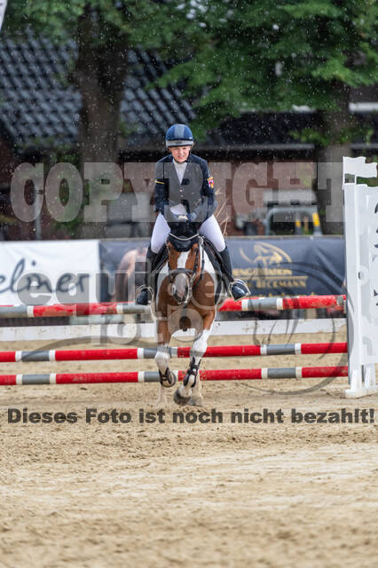 Goldene Schärpe 2021 - Ponys