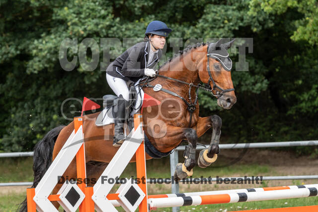 Late-Entry-Vielseitigkeit Langenfeld (06.+07.07.2020)