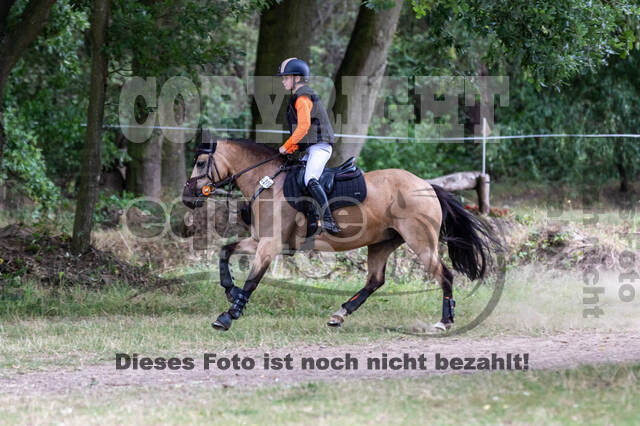 Late-Entry Vielseitigkeit Hamminkeln/Wesel (01.+02.08.2020)